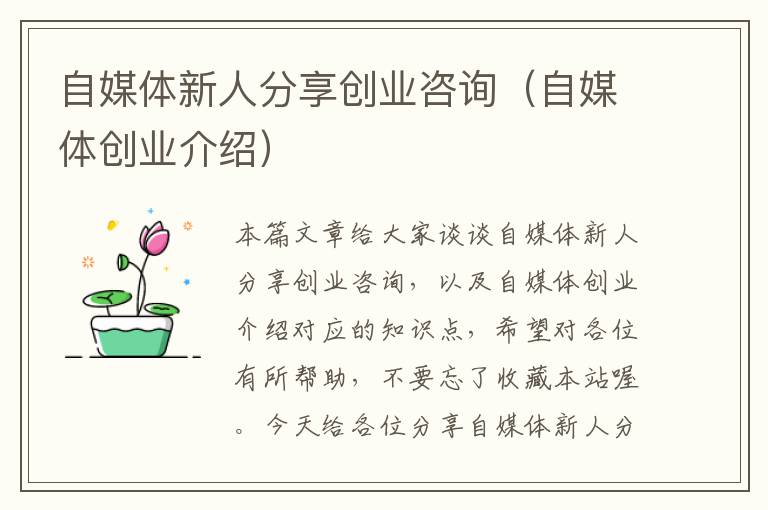 自媒体新人分享创业咨询(自媒体创业介绍)