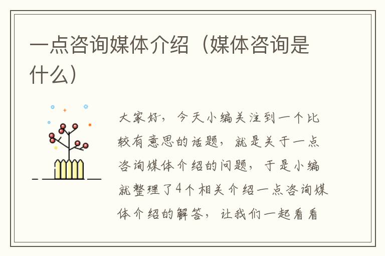 一点咨询媒体介绍（媒体咨询是什么）