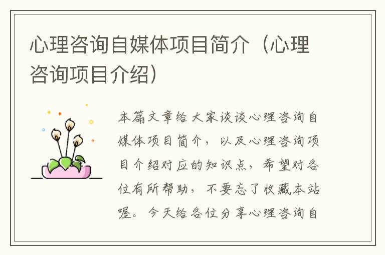 心理咨询自媒体项目简介(心理咨询项目介绍)