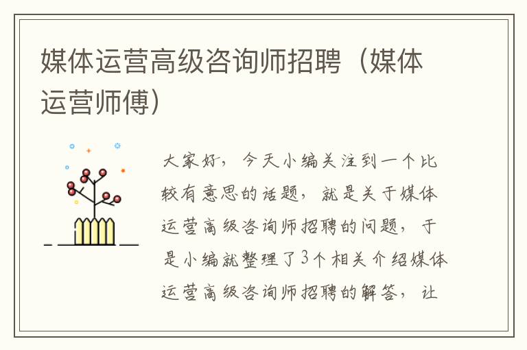 媒体运营高级咨询师招聘(媒体运营师傅)