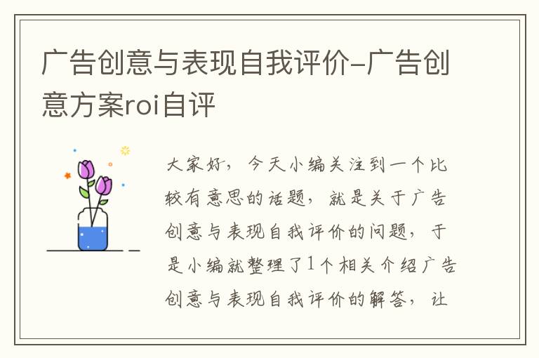 广告创意与表现自我评价-广告创意方案roi自评