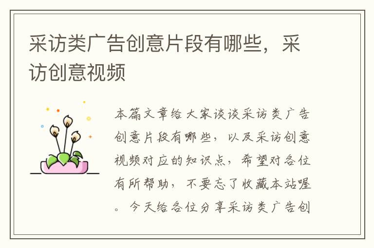 采访类广告创意片段有哪些,采访创意视频