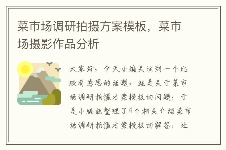 菜市场调研拍摄方案模板,菜市场摄影作品分析