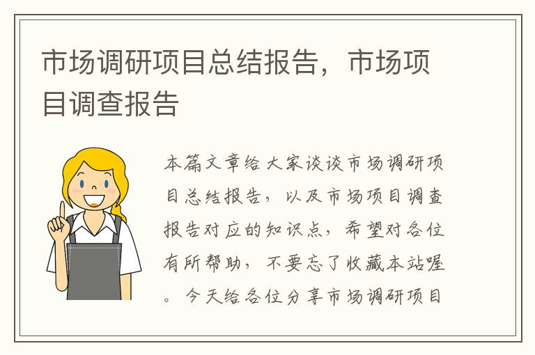 市场调研项目总结报告,市场项目调查报告