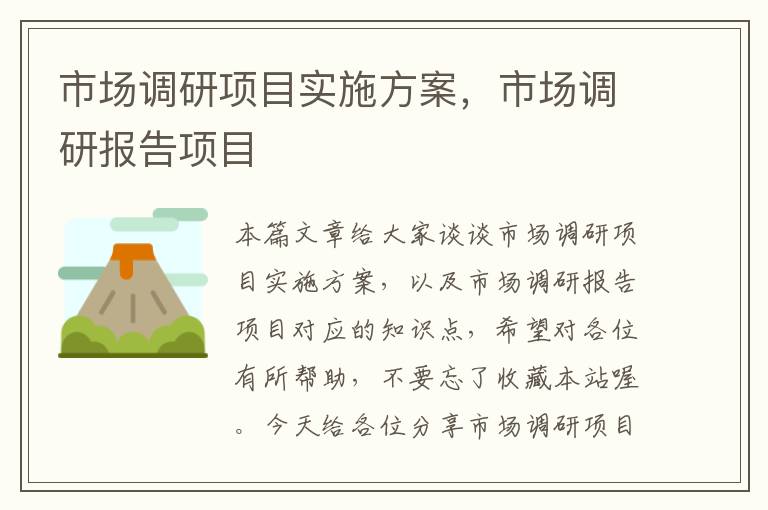 市场调研项目实施方案,市场调研报告项目