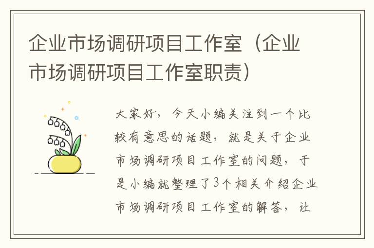 企业市场调研项目工作室(企业市场调研项目工作室职责)