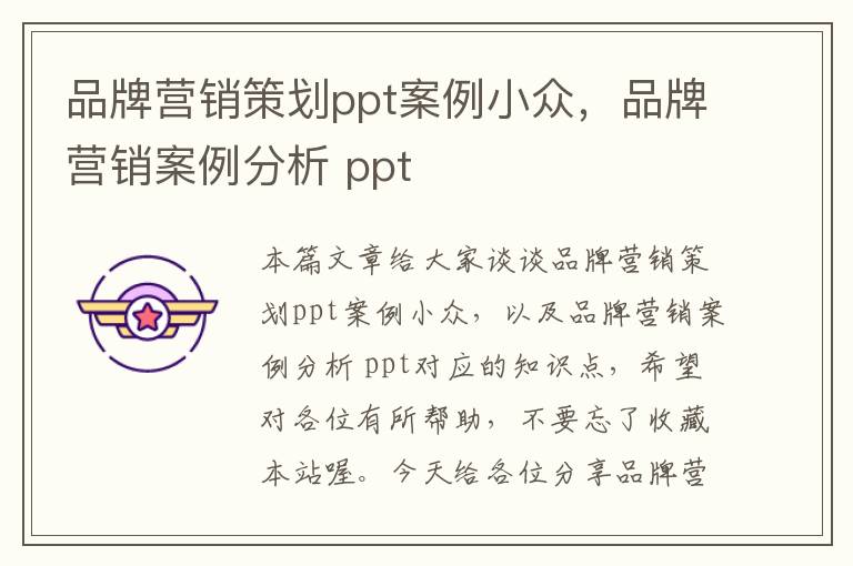 品牌营销策划ppt案例小众,品牌营销案例分析 ppt