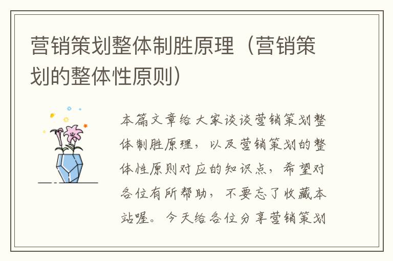 营销策划整体制胜原理(营销策划的整体性原则)