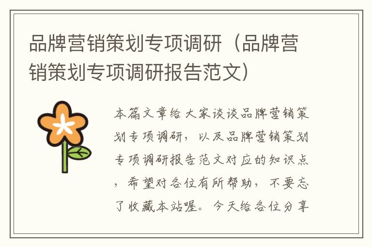 品牌营销策划专项调研(品牌营销策划专项调研报告范文)