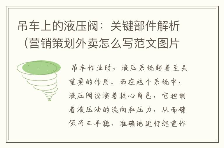 吊车上的液压阀:关键部件解析(营销策划外卖怎么写范文图片)