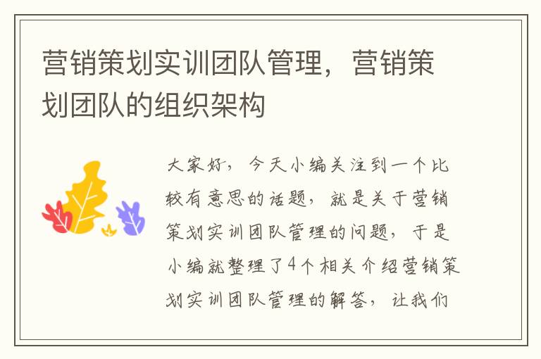 营销策划实训团队管理,营销策划团队的组织架构
