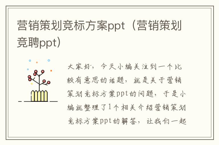 营销策划竞标方案ppt(营销策划竞聘ppt)