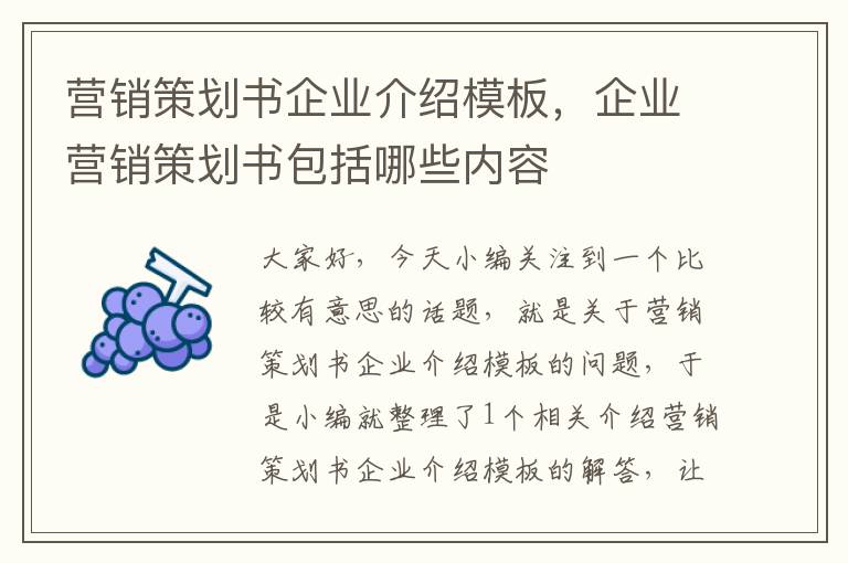 营销策划书企业介绍模板,企业营销策划书包括哪些内容