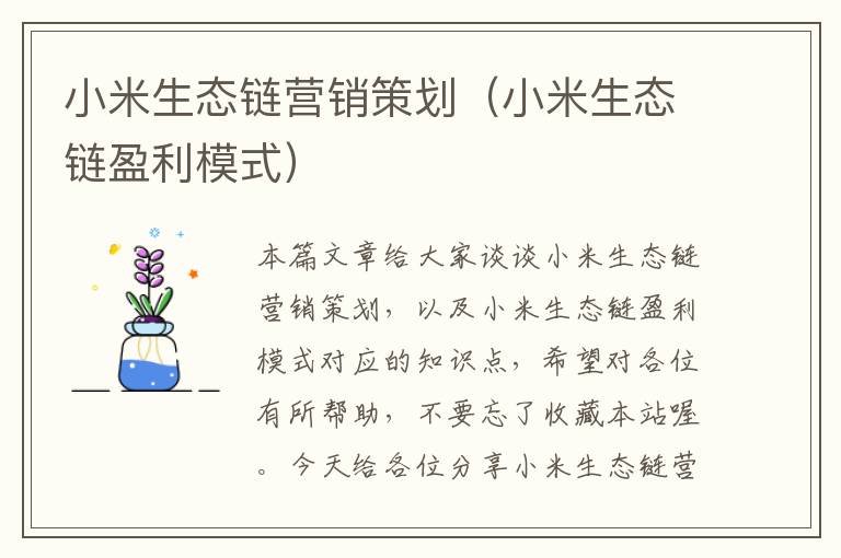 小米生态链营销策划(小米生态链盈利模式)