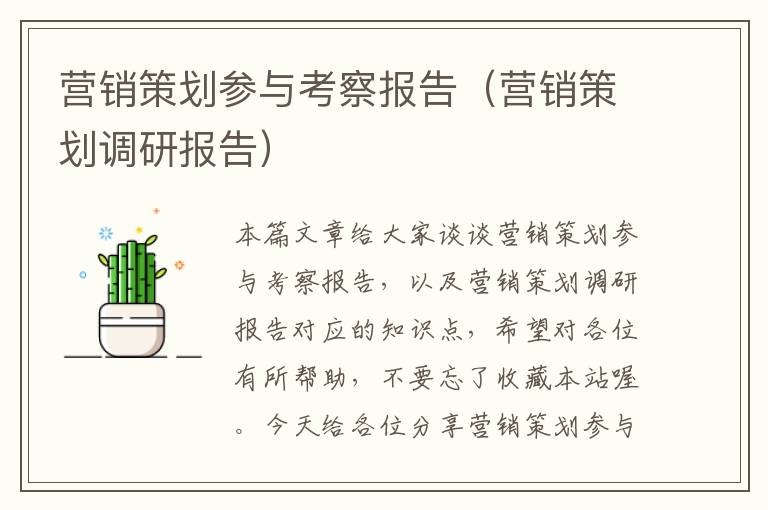 营销策划参与考察报告(营销策划调研报告)