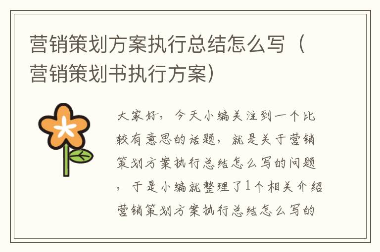 营销策划方案执行总结怎么写(营销策划书执行方案)