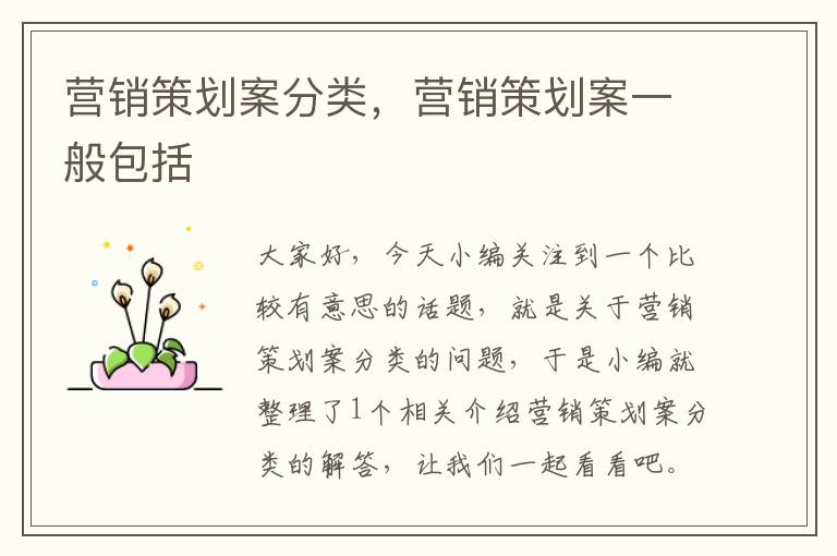 营销策划案分类,营销策划案一般包括
