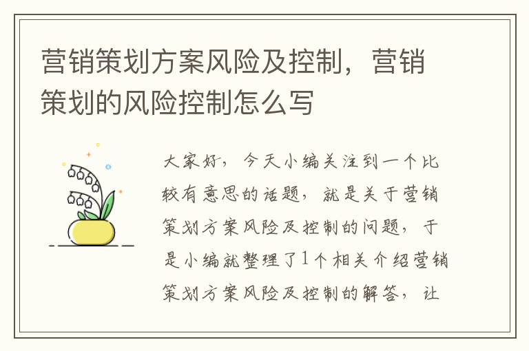 营销策划方案风险及控制,营销策划的风险控制怎么写