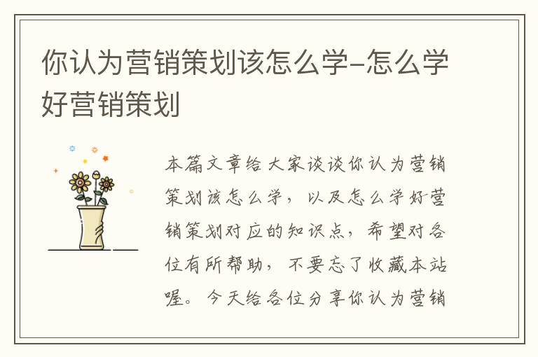 你认为营销策划该怎么学-怎么学好营销策划