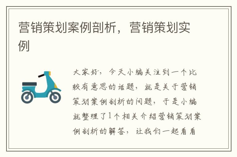 营销策划案例剖析,营销策划实例