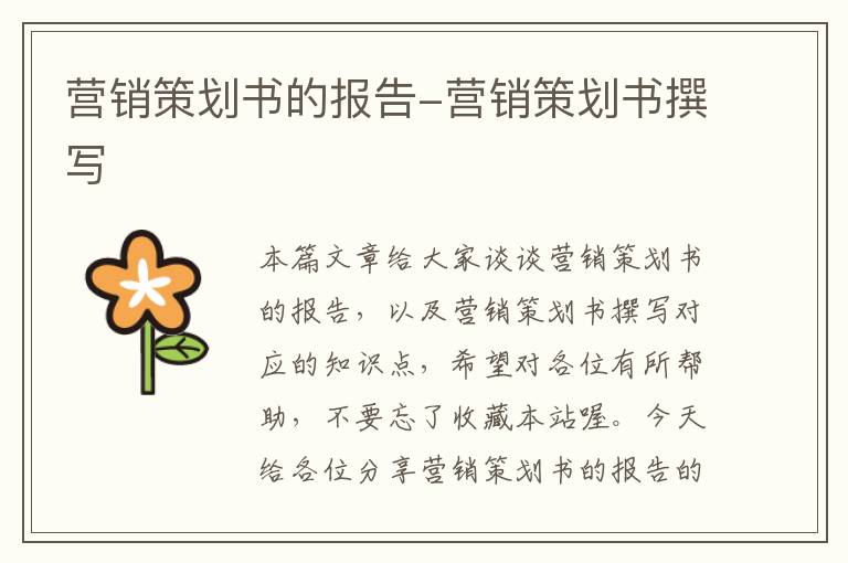 营销策划书的报告-营销策划书撰写