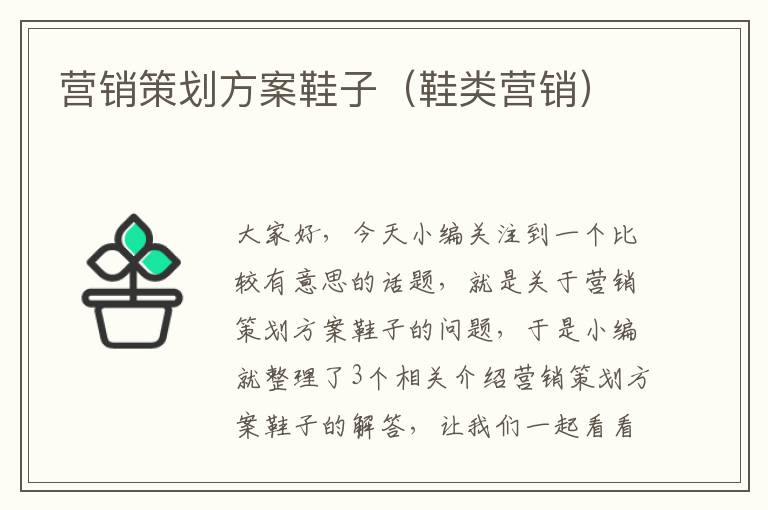营销策划方案鞋子(鞋类营销)