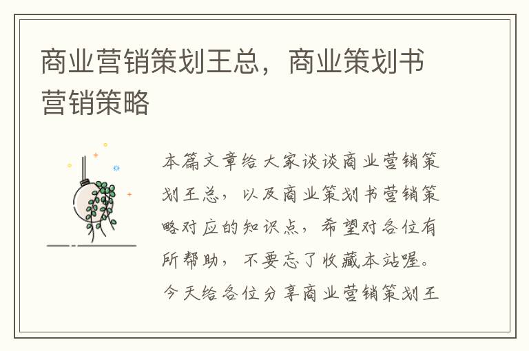商业营销策划王总,商业策划书营销策略