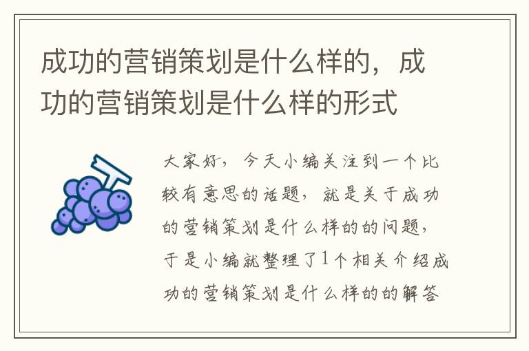 成功的营销策划是什么样的,成功的营销策划是什么样的形式