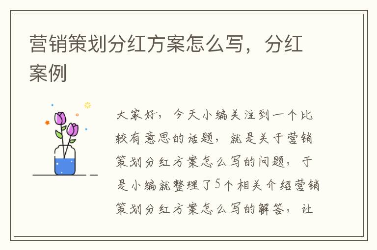 营销策划分红方案怎么写,分红案例