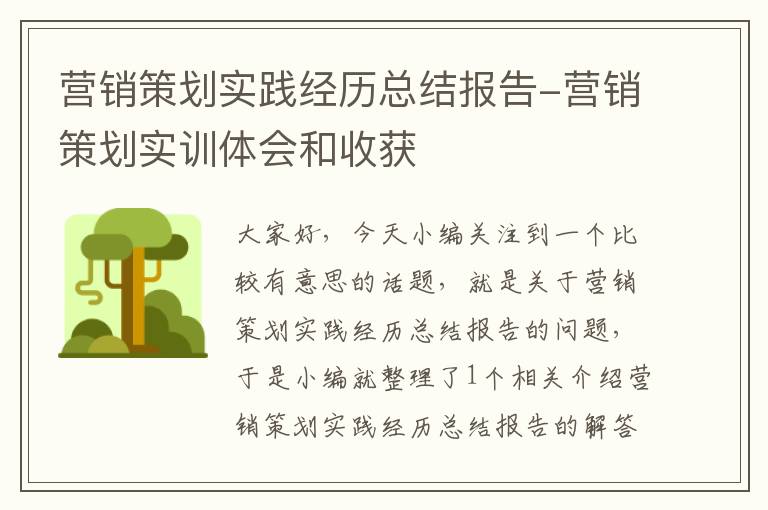 营销策划实践经历总结报告-营销策划实训体会和收获