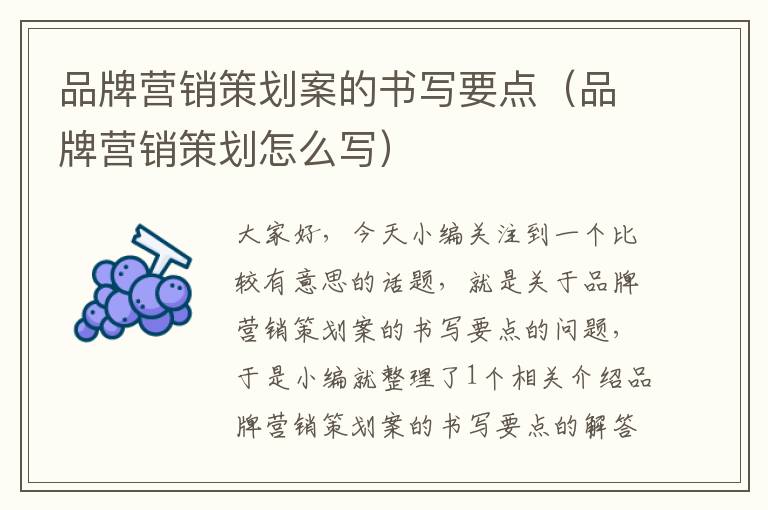 品牌营销策划案的书写要点(品牌营销策划怎么写)