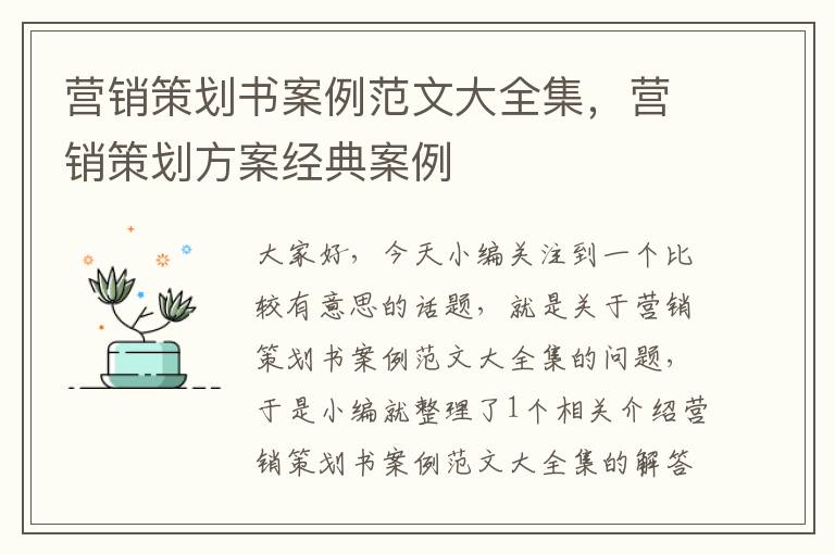 营销策划书案例范文大全集,营销策划方案经典案例