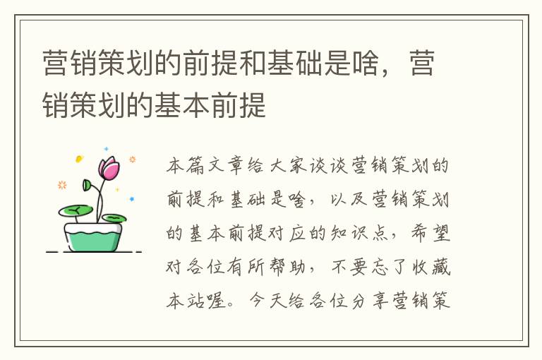营销策划的前提和基础是啥,营销策划的基本前提