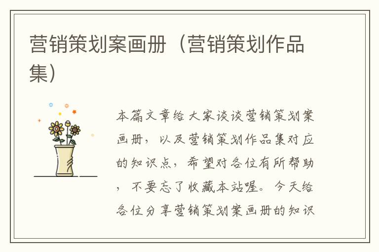 营销策划案画册(营销策划作品集)