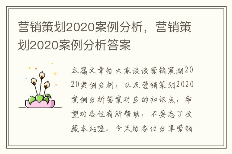 营销策划2020案例分析，营销策划2020案例分析答案
