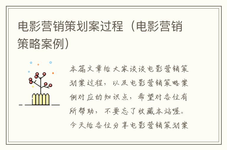 电影营销策划案过程(电影营销策略案例)