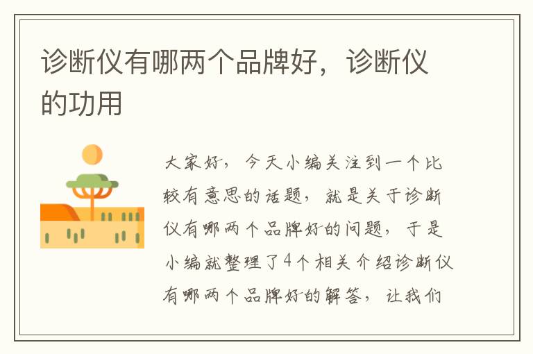 诊断仪有哪两个品牌好,诊断仪的功用